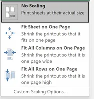 Print Scaling